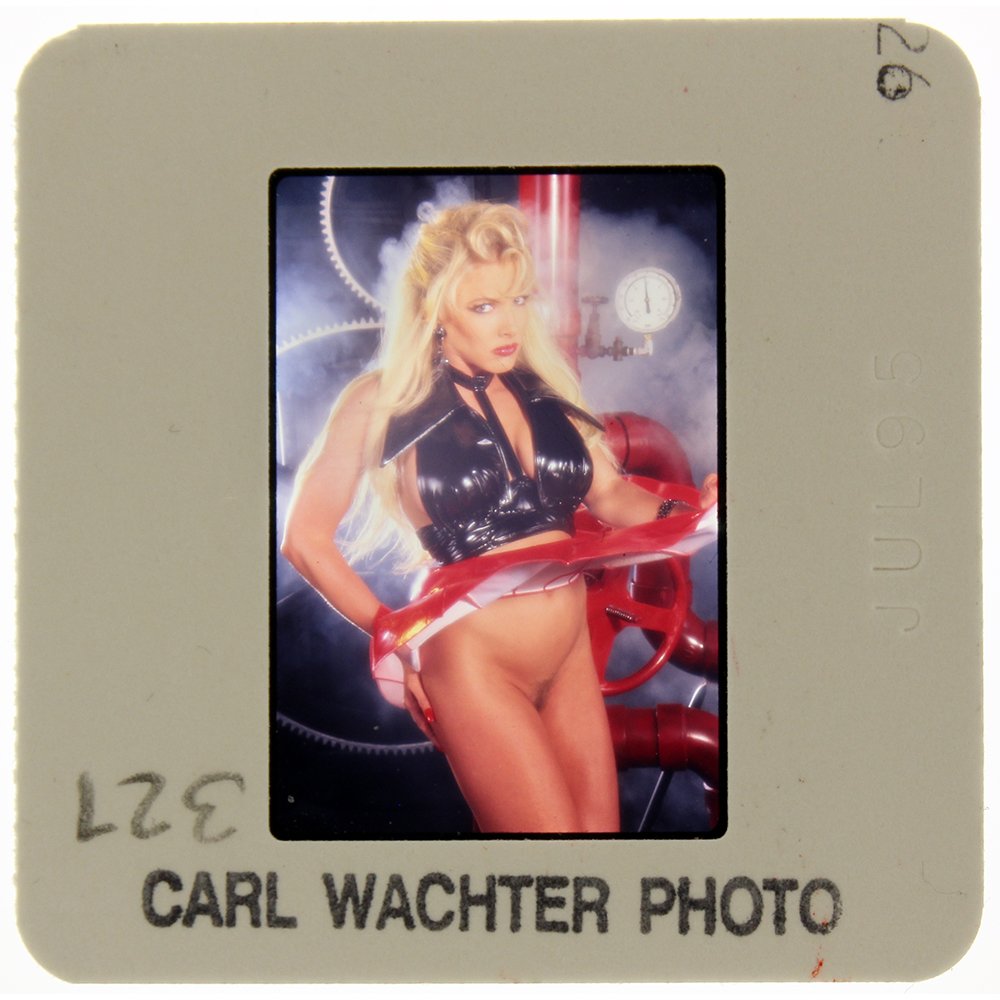 Lisa Gayle 1995 35mm By Carl Wachter: Original 35mm slide features Lisa Gayle taken Carl Wachter in 1995.Model: Lisa Gayle is an American adult model and