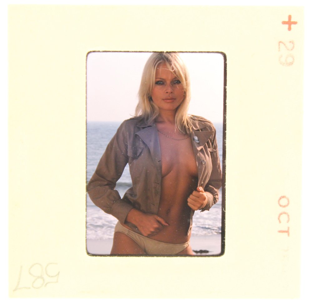 Lillian Muller 1976 35mm By Suze Randall: Original 35mm slide features Lillian Muller taken by Suze Randall in 1976. Print and/or markings on the slide mount are original.