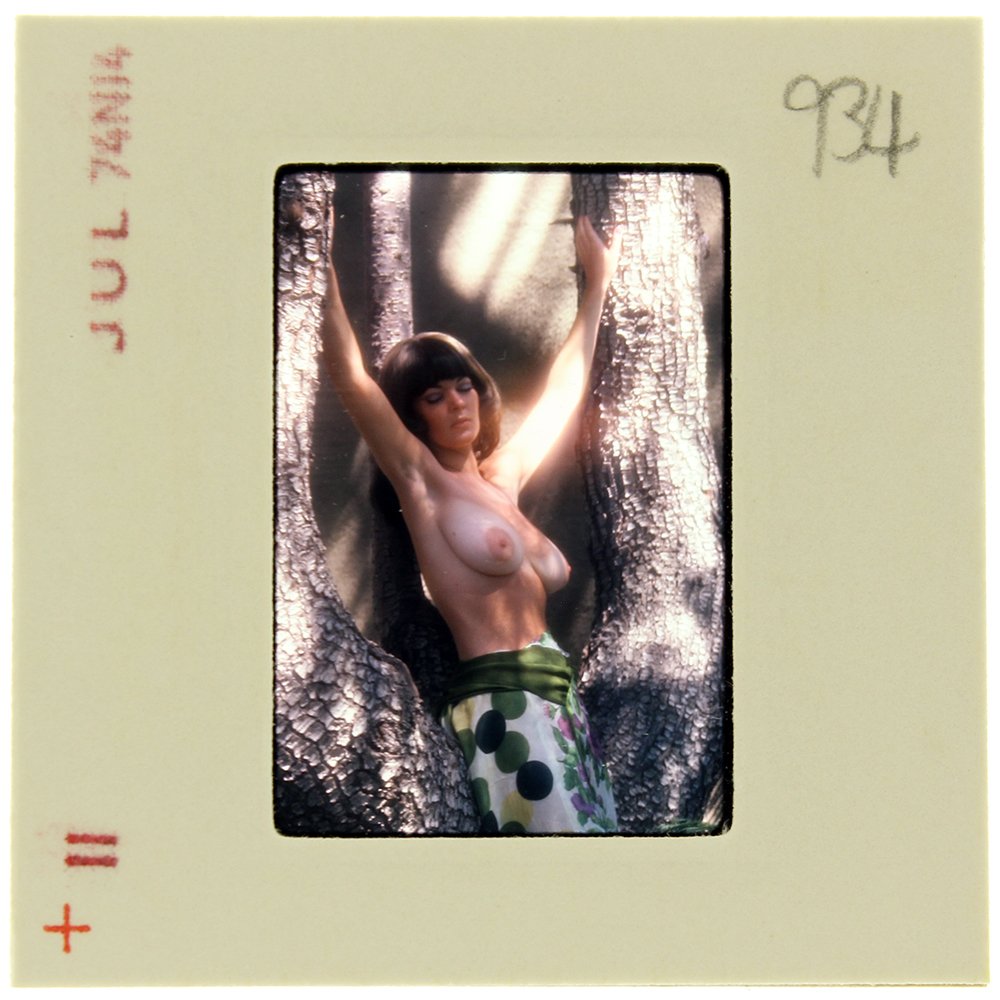 Avril Lund 1974 35mm By Bob Guccione: Original 35mm slide features Avril Lund taken by Bob Guccione in 1974.Subject: Avril Lund was Penthouse magazine's