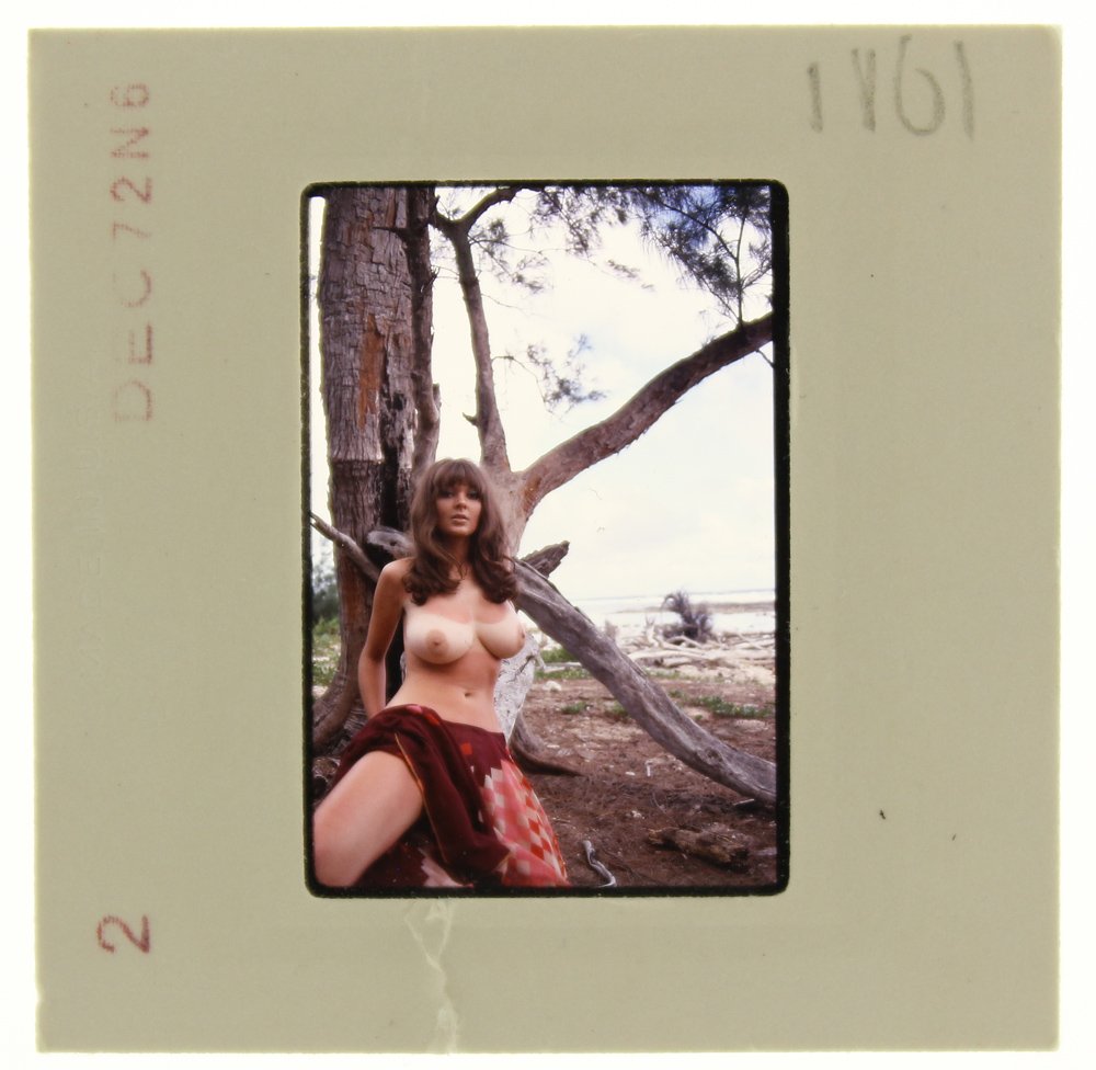 Avril Lund 1972 35mm By Bob Guccione: Original 35mm slide features Avril Lund taken by Bob Guccione in 1972.Subject: Avril Lund was Penthouse magazine's