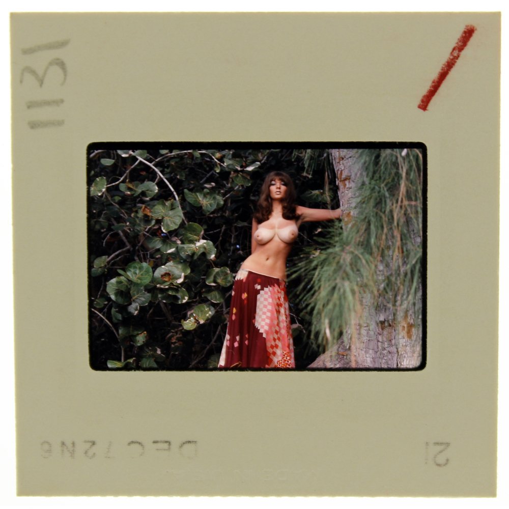 Avril Lund 1972 35mm By Bob Guccione: Original 35mm slide features Avril Lund taken by Bob Guccione in 1972.Subject: Avril Lund was Penthouse magazine's