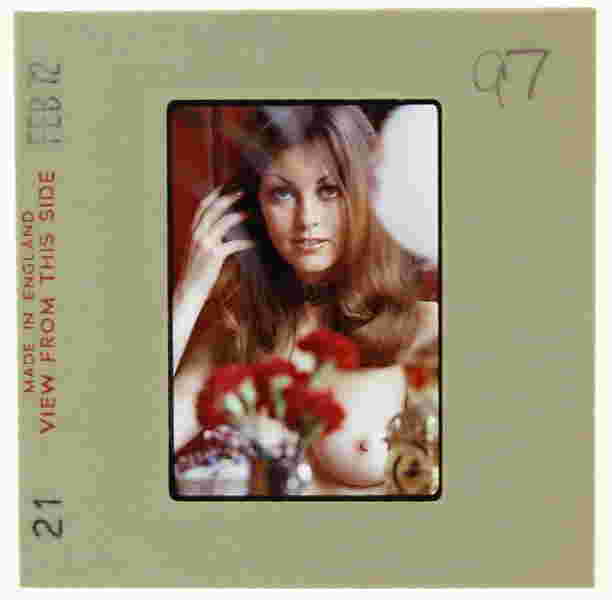 billie deane 1972 35mm by bob guccione billie deane 1972 35mm by bob guccione