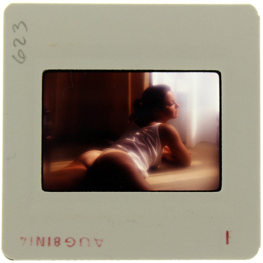 Sheila Kennedy 1981 35mm By Bob Guccione: Original 35mm slide features Sheila Kennedy taken by Bob Guccione in 1981. Subject: Penthouse Pet Sheila Kenned