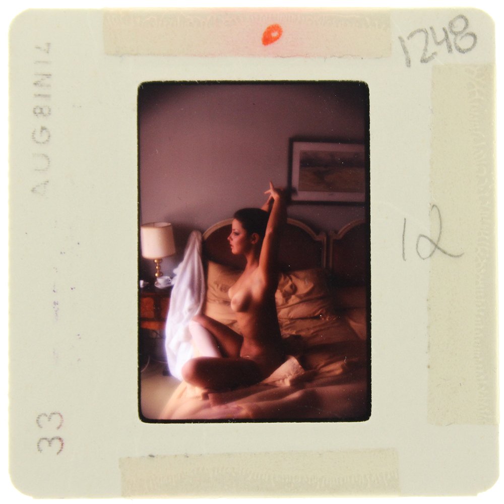Sheila Kennedy 1981 35mm By Bob Guccione: Original 35mm slide features Sheila Kennedy taken by Bob Guccione in 1981. Subject: Penthouse Pet Sheila Kenned