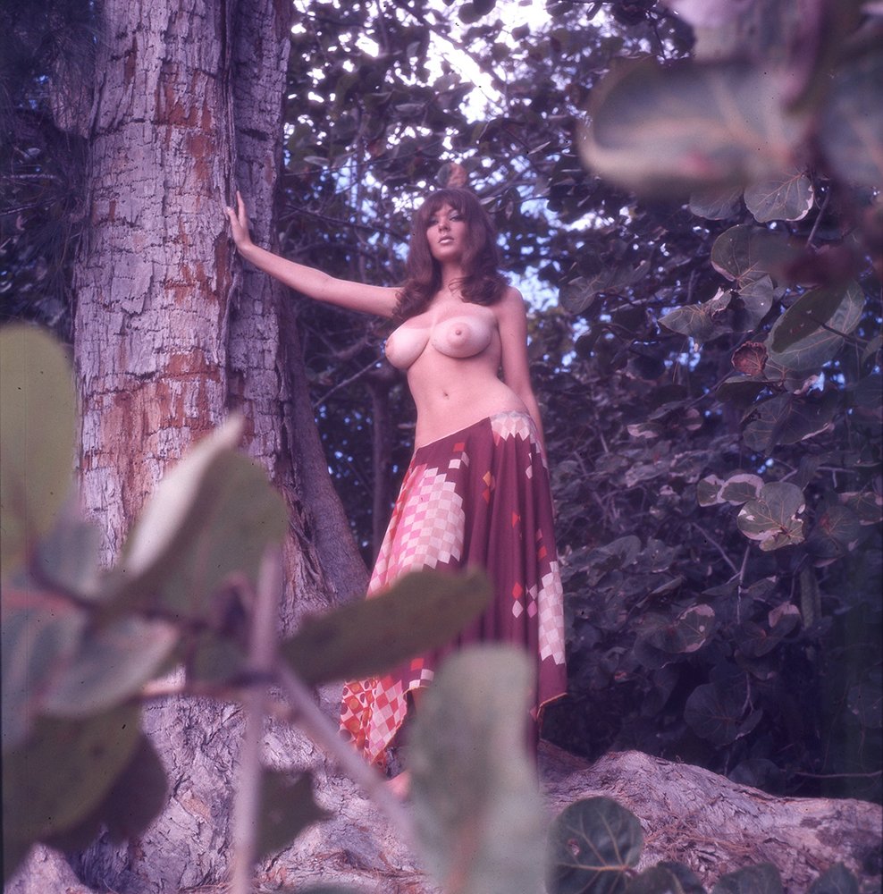 Avril Lund 1973 35mm By Suze Randall: Avril Lund 1973 35mm By Suze Randall