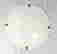 item-30772426=2