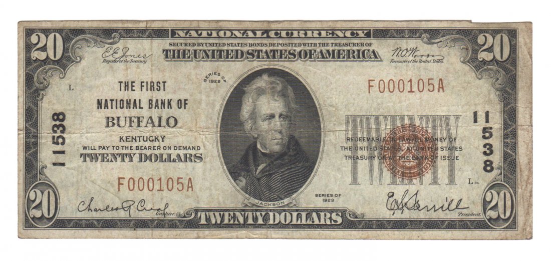 Buffalo, KY - Ch. 11538 - 1929 $20 Type1 (1 of 2)