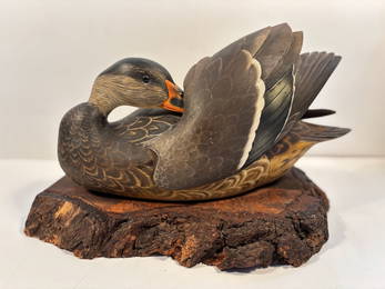 Robert Kerr (Canadian, 20th Century), decorative carved and painted bird sculpture, preening duck