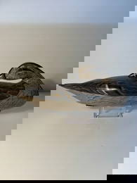 Weighted Pintail Hen Preener Duck Decoy signed Perdew, Henry, Illinois.