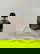 item-209101456=1