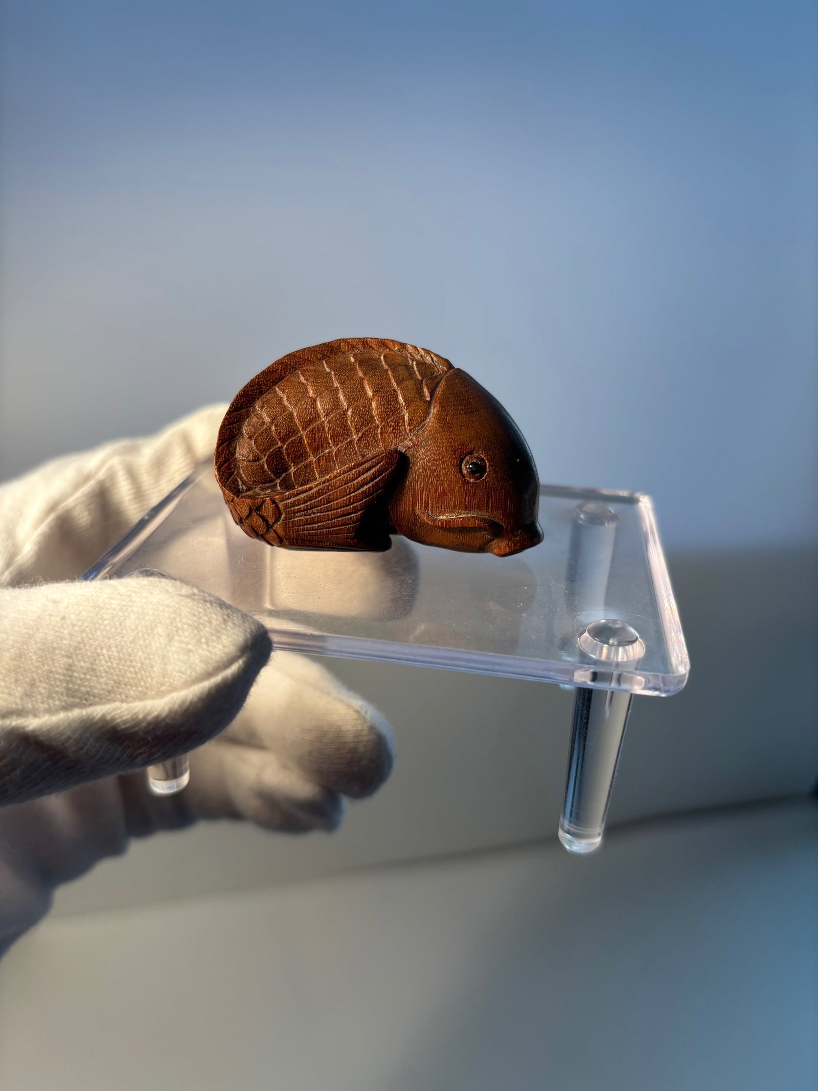 A Japanese boxwood fish carved netsuke with signature: 19th century; The property of a Private Collector. Dimensions?Diameter: 5cm (2in).