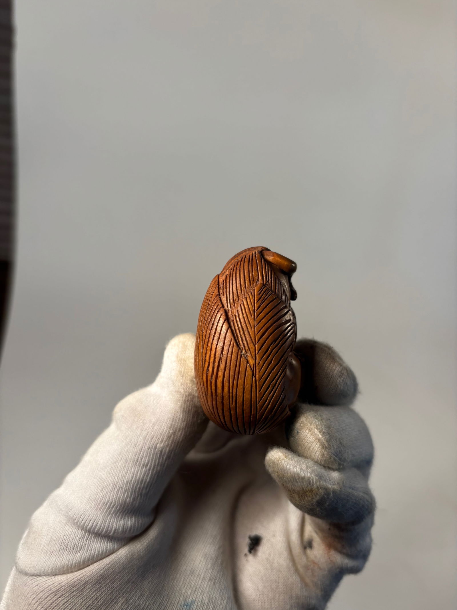 A Japanese Boxwood Netsuke of a Tiger in a Leaf (1 of 9)
