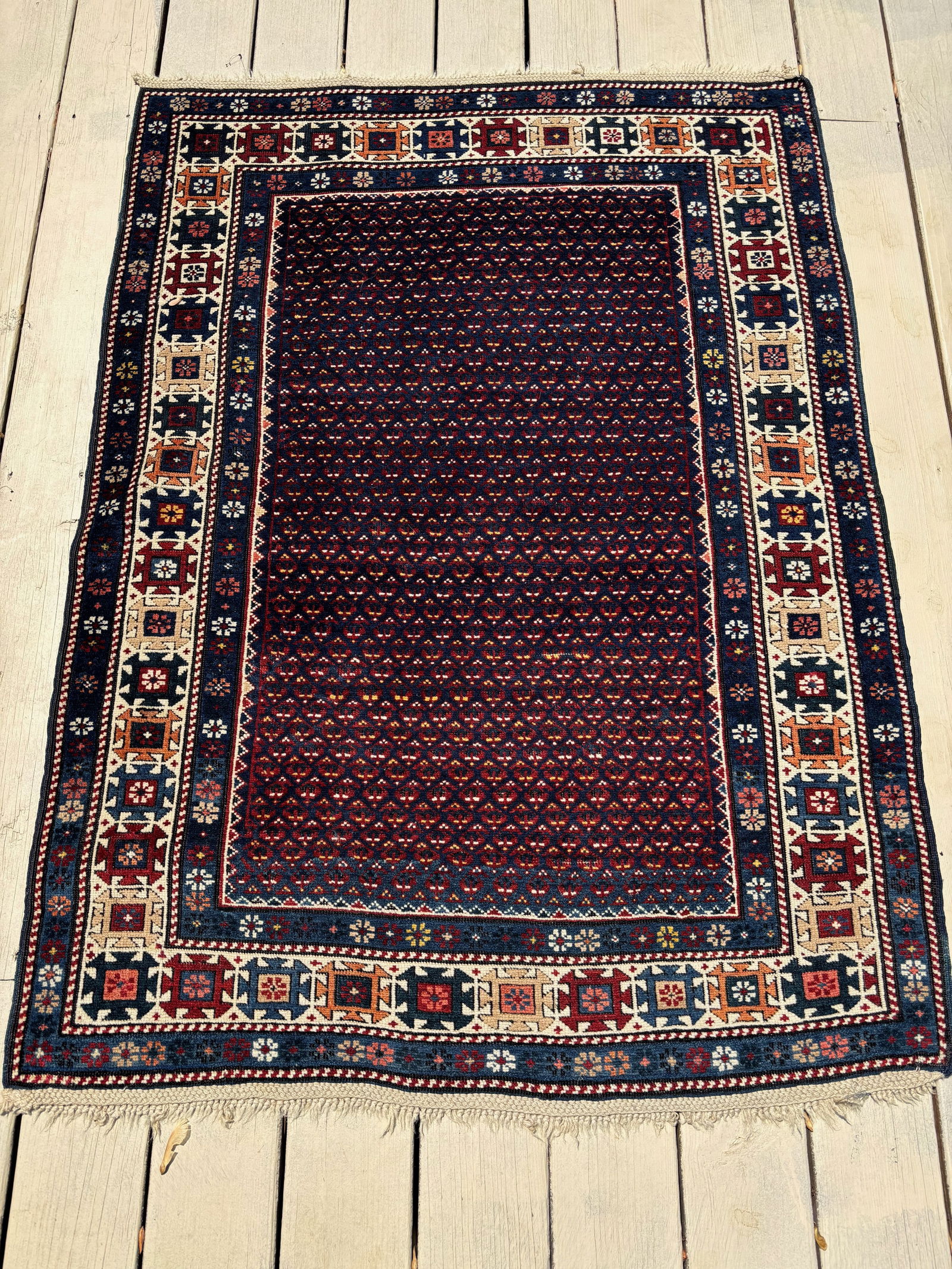 A Caucasian Shirvan hand knotted 100% wool Rug (1 of 6)