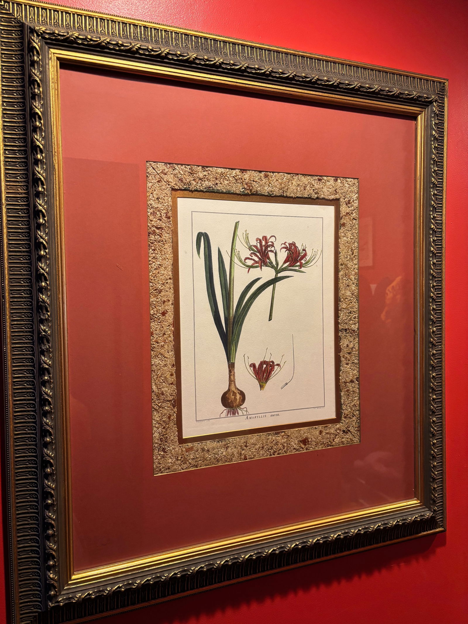 Framed 18th C. French botanical hand colored prints by P.J. Redouté del. and J.B. Guyard sculp. (1 of 9)