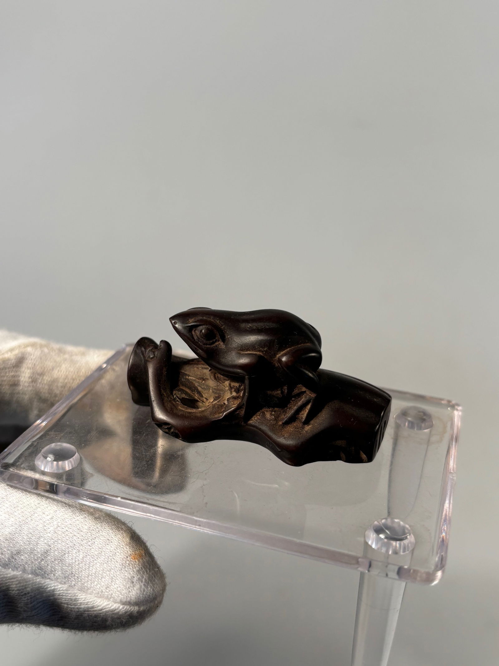 A Japanese Boxwood Netsuke of frog on branch (1 of 7)