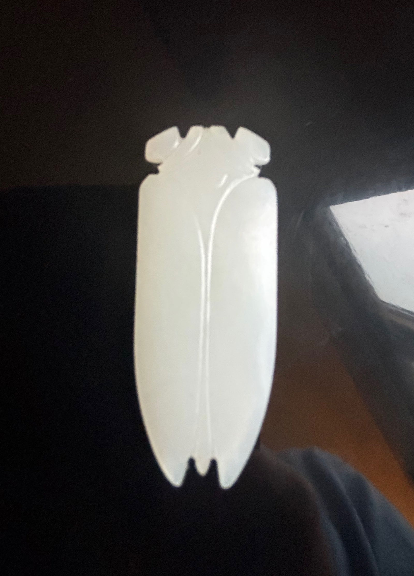 A Chinese super white nephrite cicada pendent: Qing Dynasty (1644-1912); The white jade has a vert smooth texture and an even pale tone. There are two small holes at the head of the cicada which could be strung on a cord or chain, making it