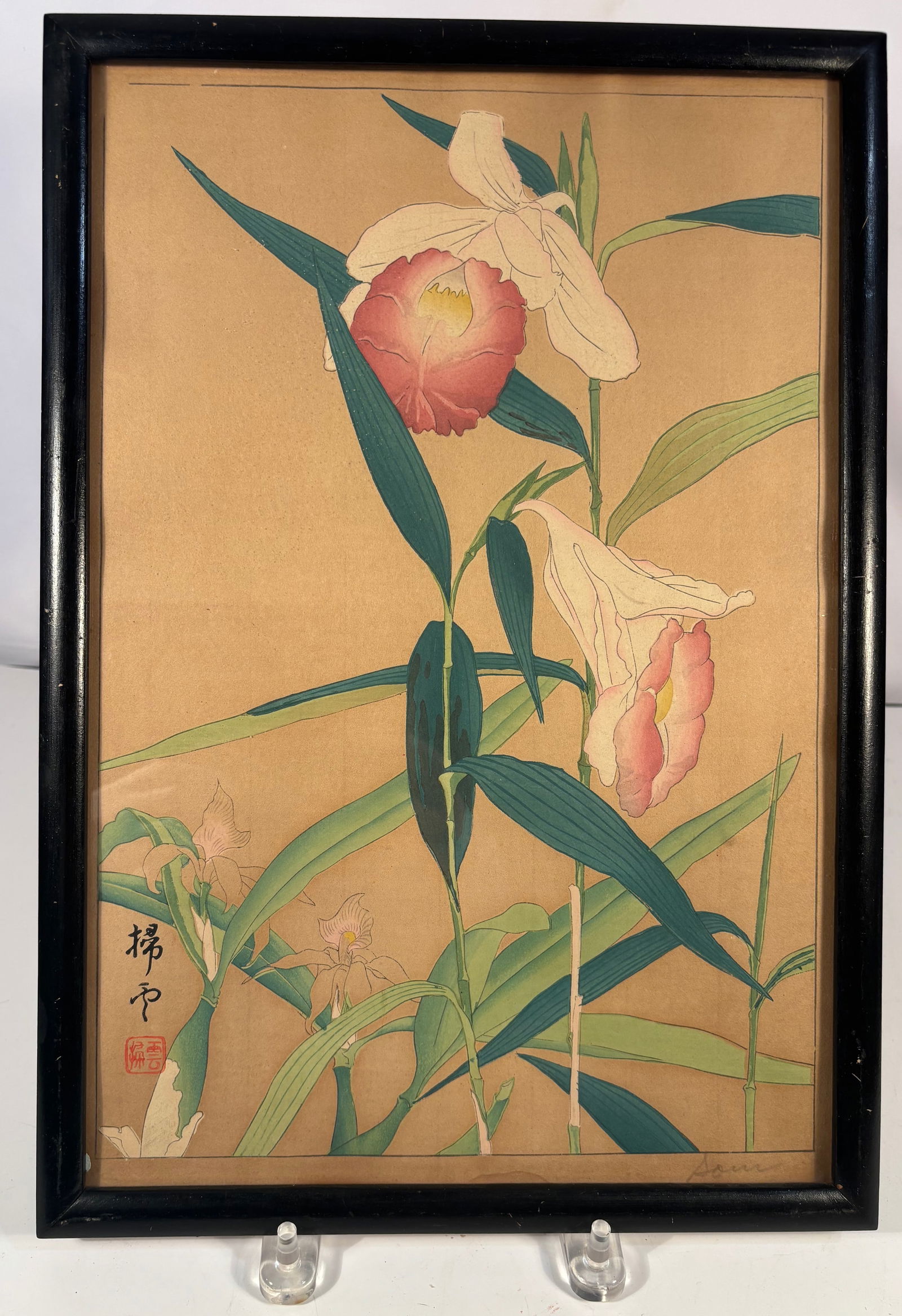 A Japanese Woodblock Print Depicting Iris Flowers by Chigusa Soun Signed & Framed, MEIJI Period (1 of 7)