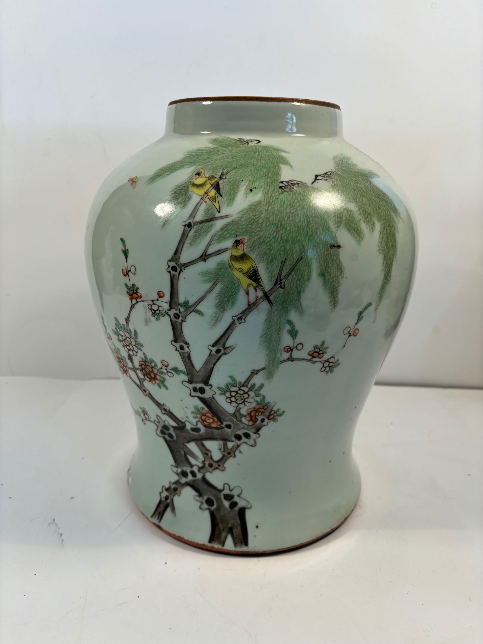 A Large Chinese famille rose porcelain vase: Qing Dynasty (1644-1912); It is finely enamelled with flowering prunus branches and pine trees, amidst a pair of yellow birds perched on the branches. The scene symbolizes longevity and prosperity. Th