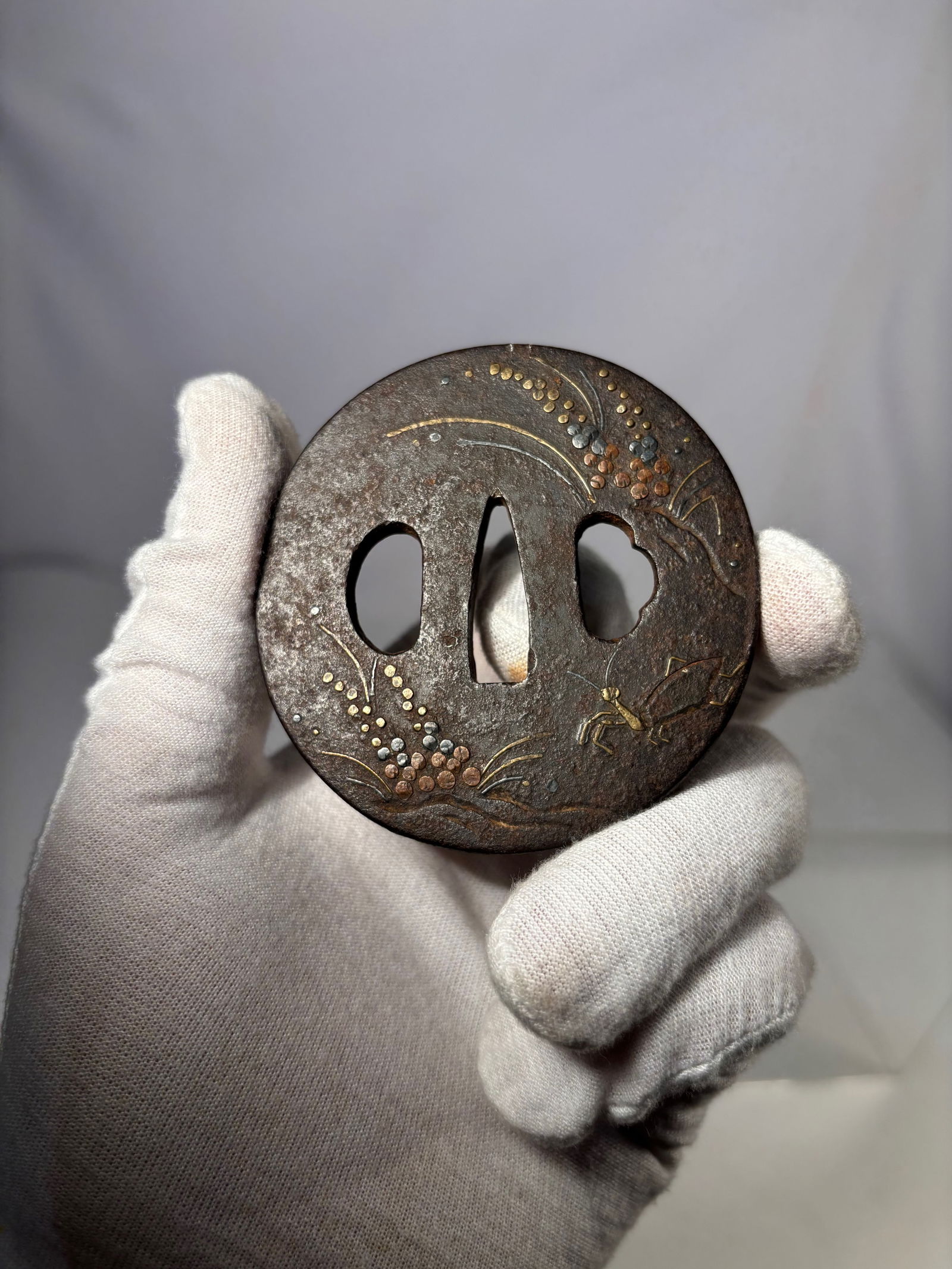 A Japanese Iron Tsuba with Inlaid Floral Decoration, Japanese Edo–Meiji Period (1 of 10)