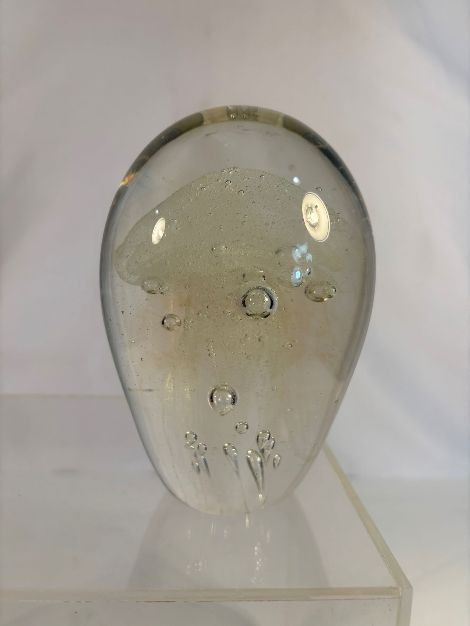 A Large Murano-Style Art Glass Jellyfish Paperweight, Oval Form: Clear hand-blown glass paperweight containing an internal sculpted jellyfish with trailing tentacles and controlled air bubbles, greenish tint to body, polished base. Likely Murano or contemporary