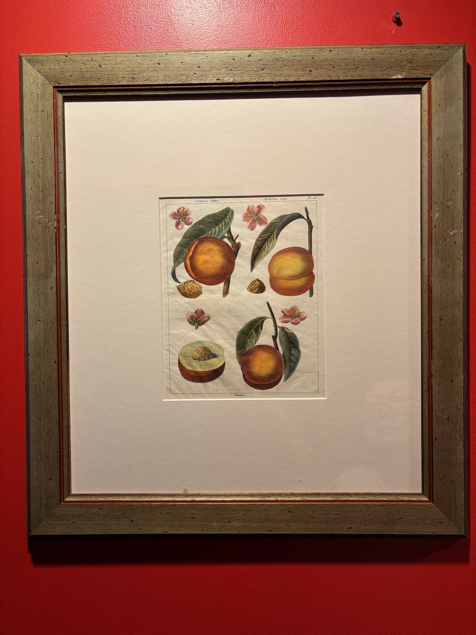 Framed 18th C. French Engravings of Fruits titled: French hand-colored copper plate engraving of fruits, ca. 1780.Plate number identified above.Dimensions?frame: 22”x 20”