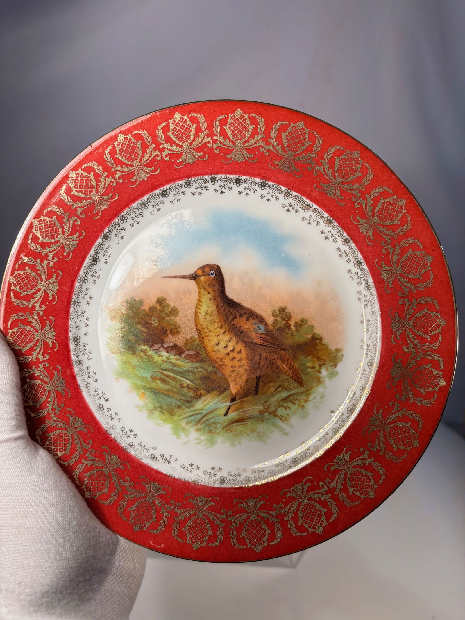 An Austrian Porcelain Cabinet Plate with Hand-Painted Game Bird: Austrian porcelain cabinet plate, late 19th to early 20th century, decorated with a finely hand-painted game bird within a landscape setting. The wide red ground border is richly embellished with gilt