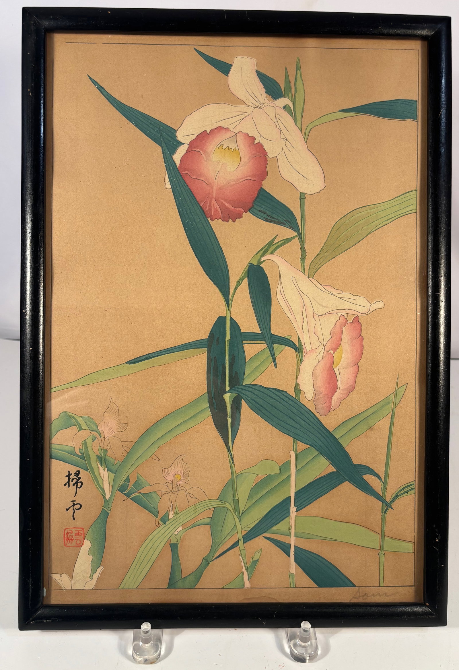 A Japanese Woodblock Print Depicting Iris Flowers by Chigusa Soun Signed & Framed, MEIJI Period: Meiji period (1868–1912); A Japanese woodblock print depicting iris blossoms, rendered in the traditional kach?-ga (bird-and-flower) style. The composition features elegantly arching green leaves an