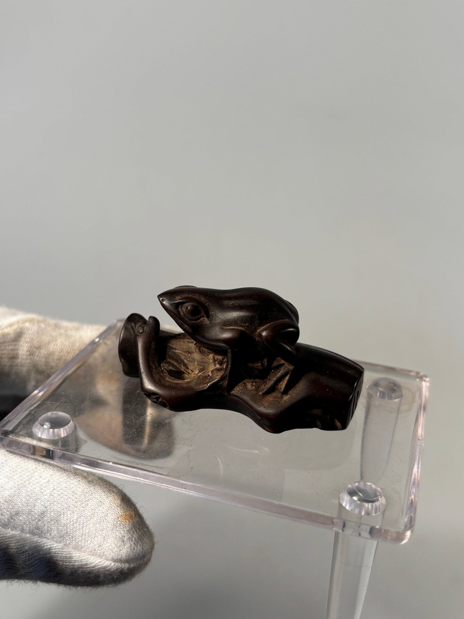 A Japanese Boxwood Netsuke of frog on branch: Meiji Period or later (late 19th–early 20th century); Skillfully carved in the round, this netsuke depicts a frog crouched on what appears to be driftwood or a stylized branch. The detailing of the