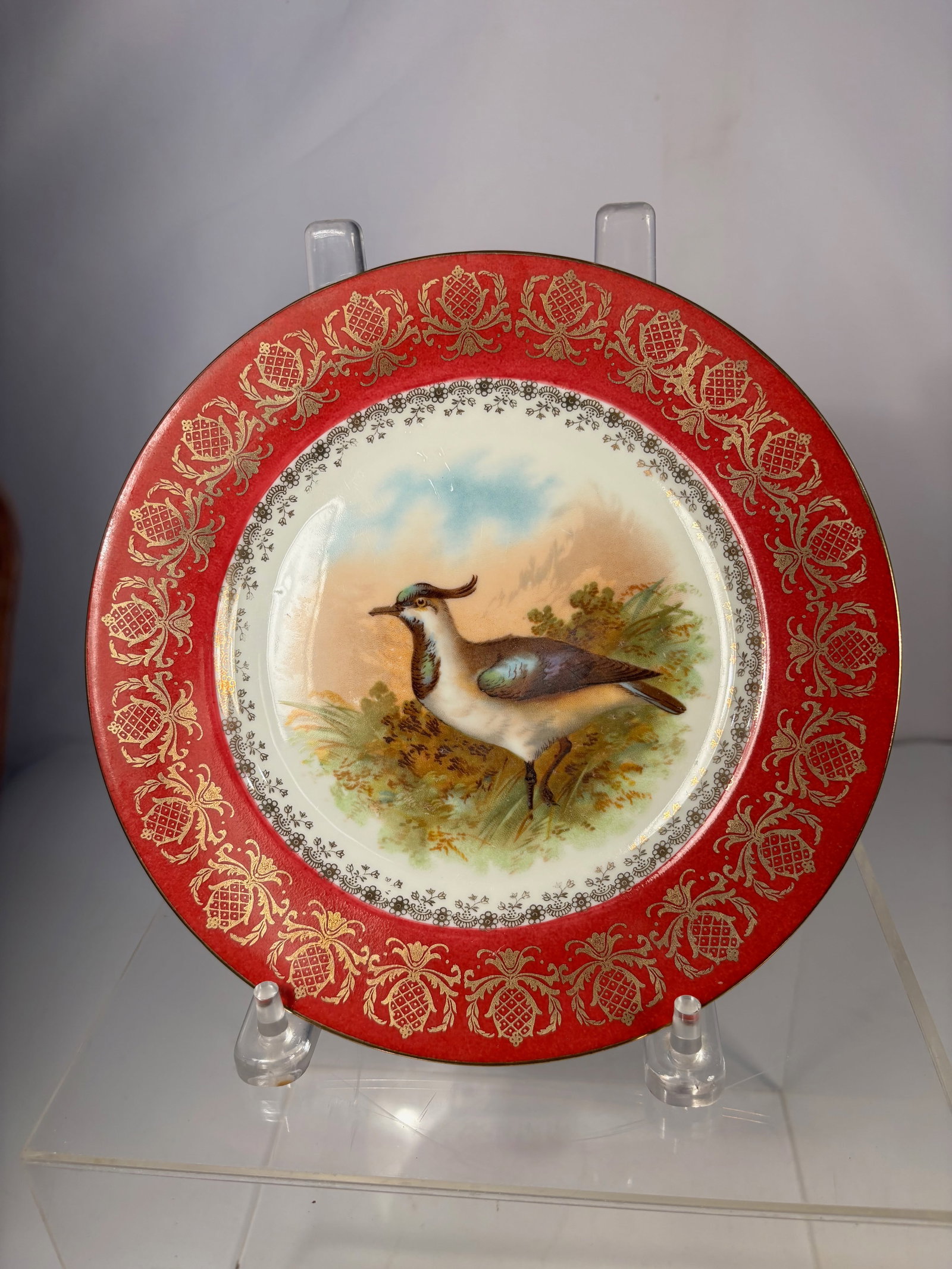 An Austrian Porcelain Cabinet Plate with Hand-Painted Game Bird: Austrian porcelain cabinet plate, late 19th to early 20th century, decorated with a finely hand-painted game bird within a landscape setting. The wide red ground border is richly embellished with gilt