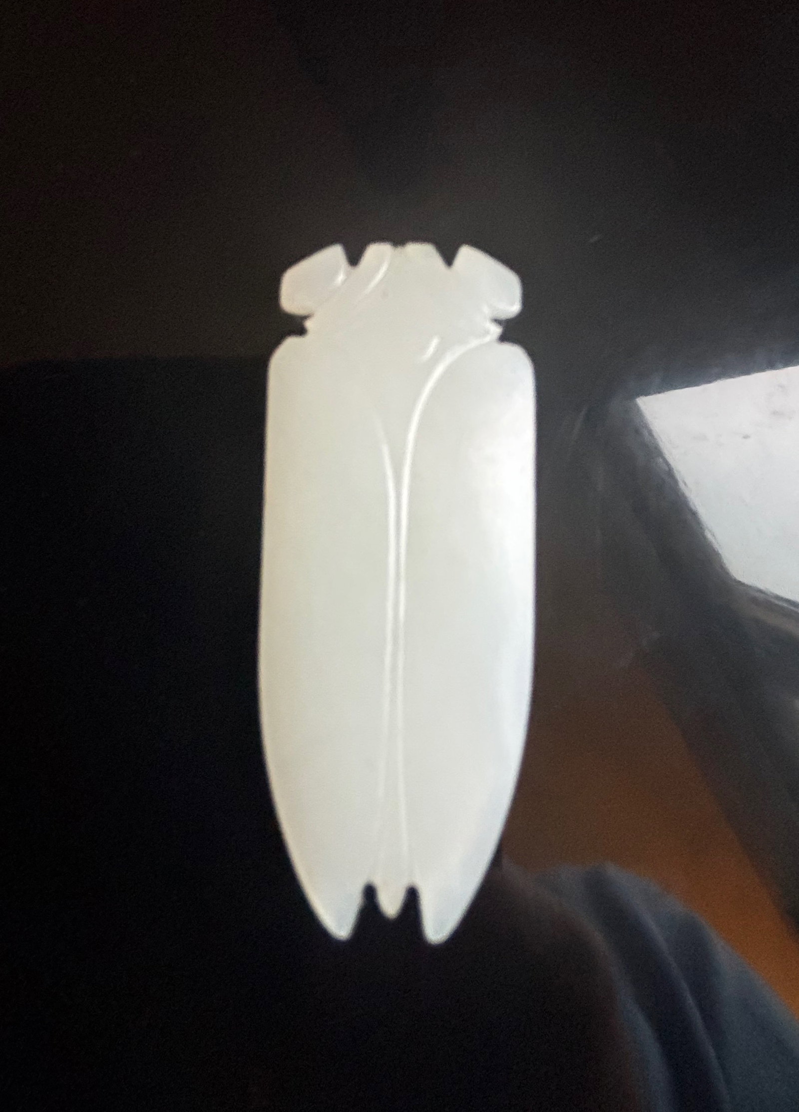 A Chinese super white nephrite cicada pendent: Qing Dynasty (1644-1912); The white jade has a vert smooth texture and an even pale tone. There are two small holes at the head of the cicada which could be strung on a cord or chain, making it