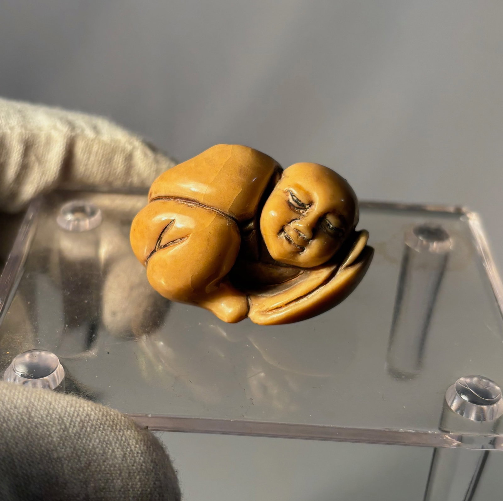 A Signed Japanese Carved Horn/ Bone Netsuke of a Boy with siga Edo Period: 18th-19th century; A Japanese carved horn/bone netsuke, Edo period (18th–19th century), depicting a young boy shown in a seated, resting pose. Finely carved from dense horn /bone with a smooth, poli