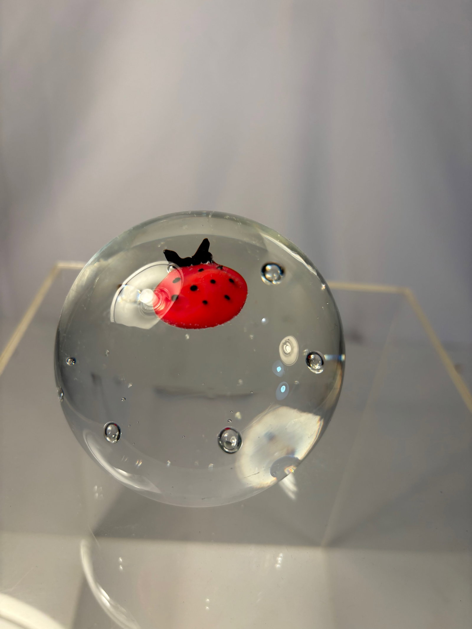 A Vintage Art Glass Paperweight with Encased Ladybug Motif: A charming vintage art glass paperweight featuring a bright red ladybug encased within clear glass. The ladybug is crafted in vibrant red and black coloration, surrounded by controlled bubbles that ad