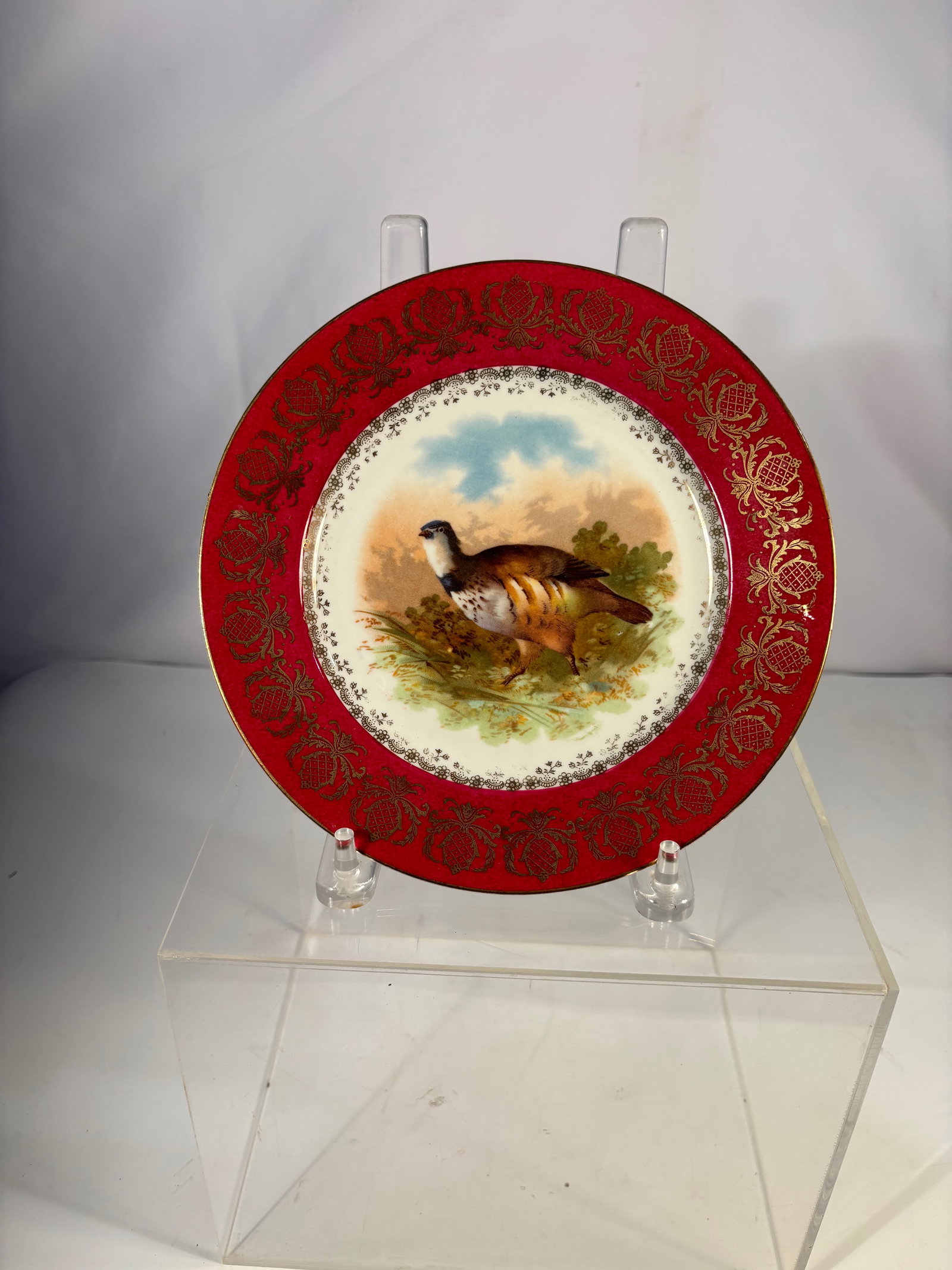 An Austrian Porcelain Plate with Hand-Painted Game Bird: Austrian porcelain cabinet plate, late 19th to early 20th century, decorated with a finely hand-painted game bird within a landscape setting. The wide red ground border is richly embellished with gilt