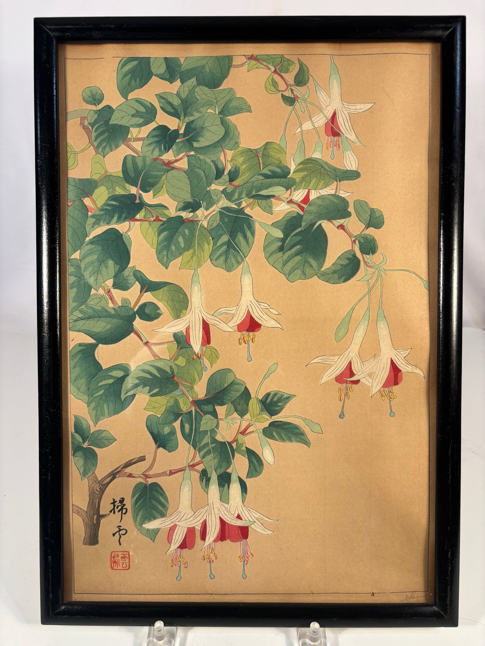 A Japanese Woodblock Print Depicting Iris Flowers by Chigusa Soun Signed & Framed, MEIJI Period: Meiji period (1868–1912); A Japanese woodblock print depicting flowering fuchsia branches, rendered in the traditional kach?-ga (bird-and-flower) style. The composition features cascading blossoms w