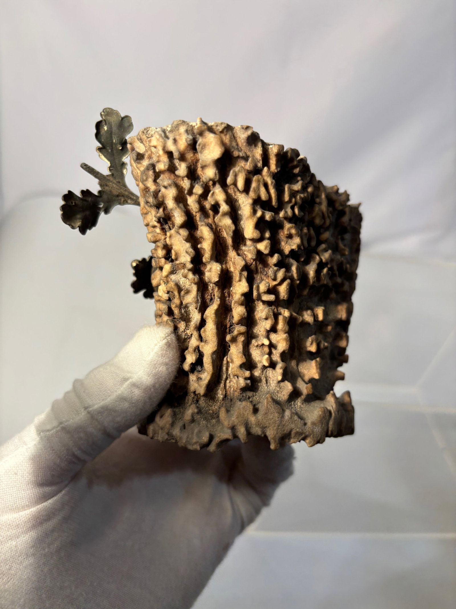 A Rare Antique Deer Antler Decorative Cup or Vase: This decorative cup or vase is crafted from natural deer antler, featuring an organically textured surface and irregular form characteristic of antler material. The exterior retains natural porous det