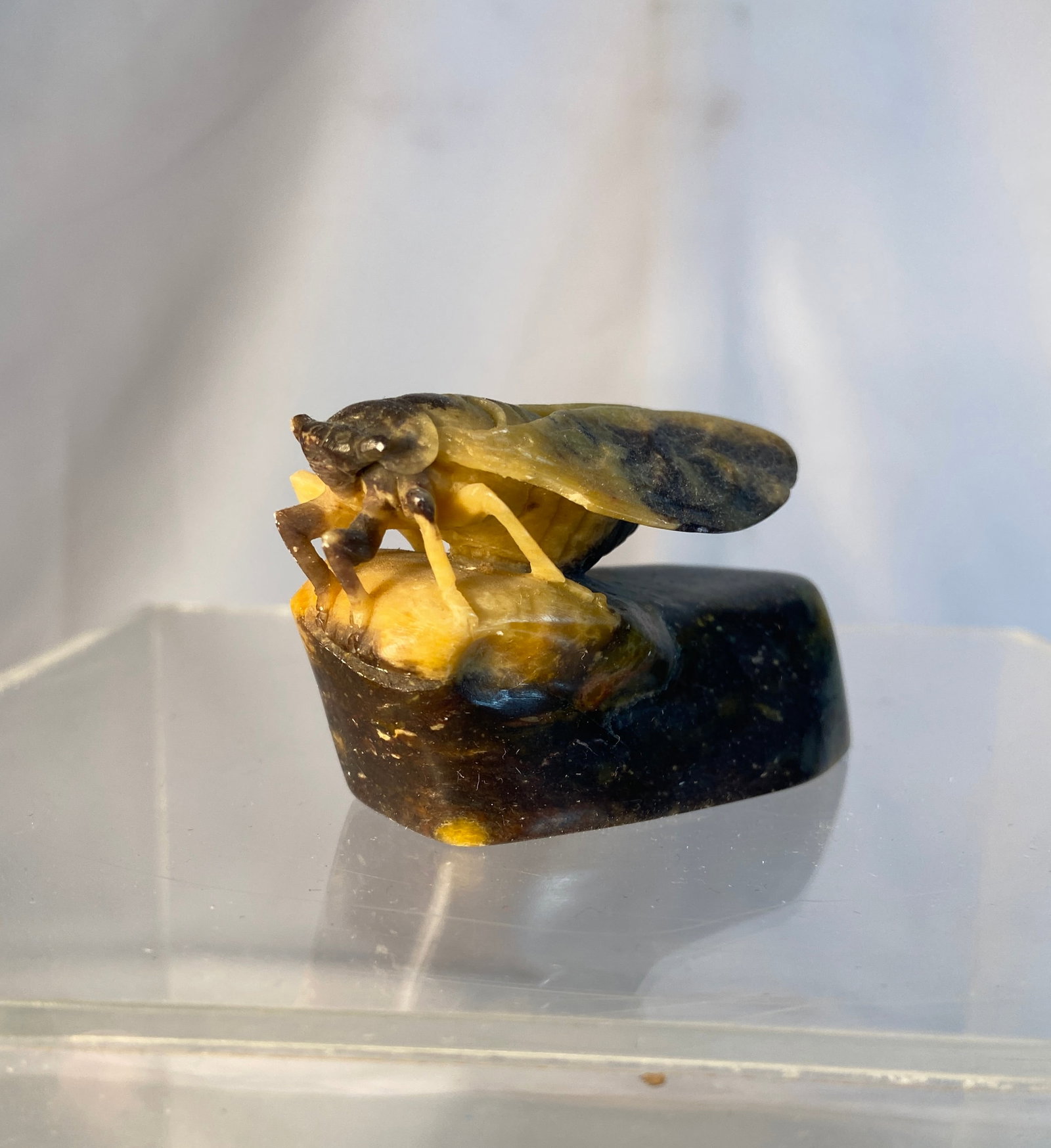 Chinese Carved Hardstone Cicada Sculpture (1 of 8)