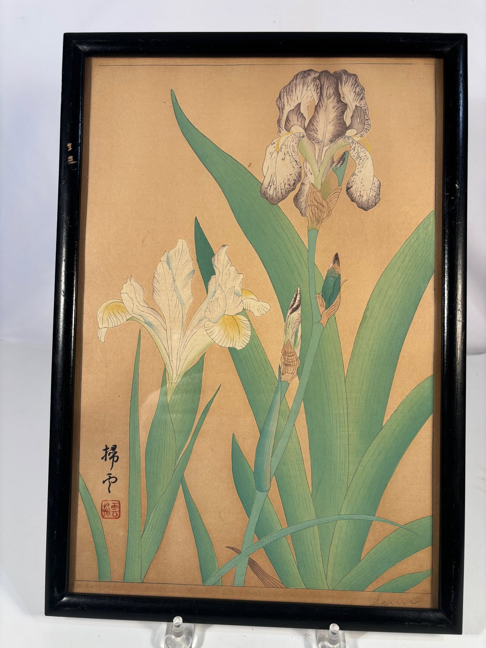 A Japanese Woodblock Print Depicting Iris Flowers by Chigusa Soun Signed & Framed, MEIJI Period: Meiji period (1868–1912); A Japanese woodblock print depicting iris flowers, rendered in the traditional kach?-ga (bird-and-flower) style. The composition features elegantly arching green leaves and