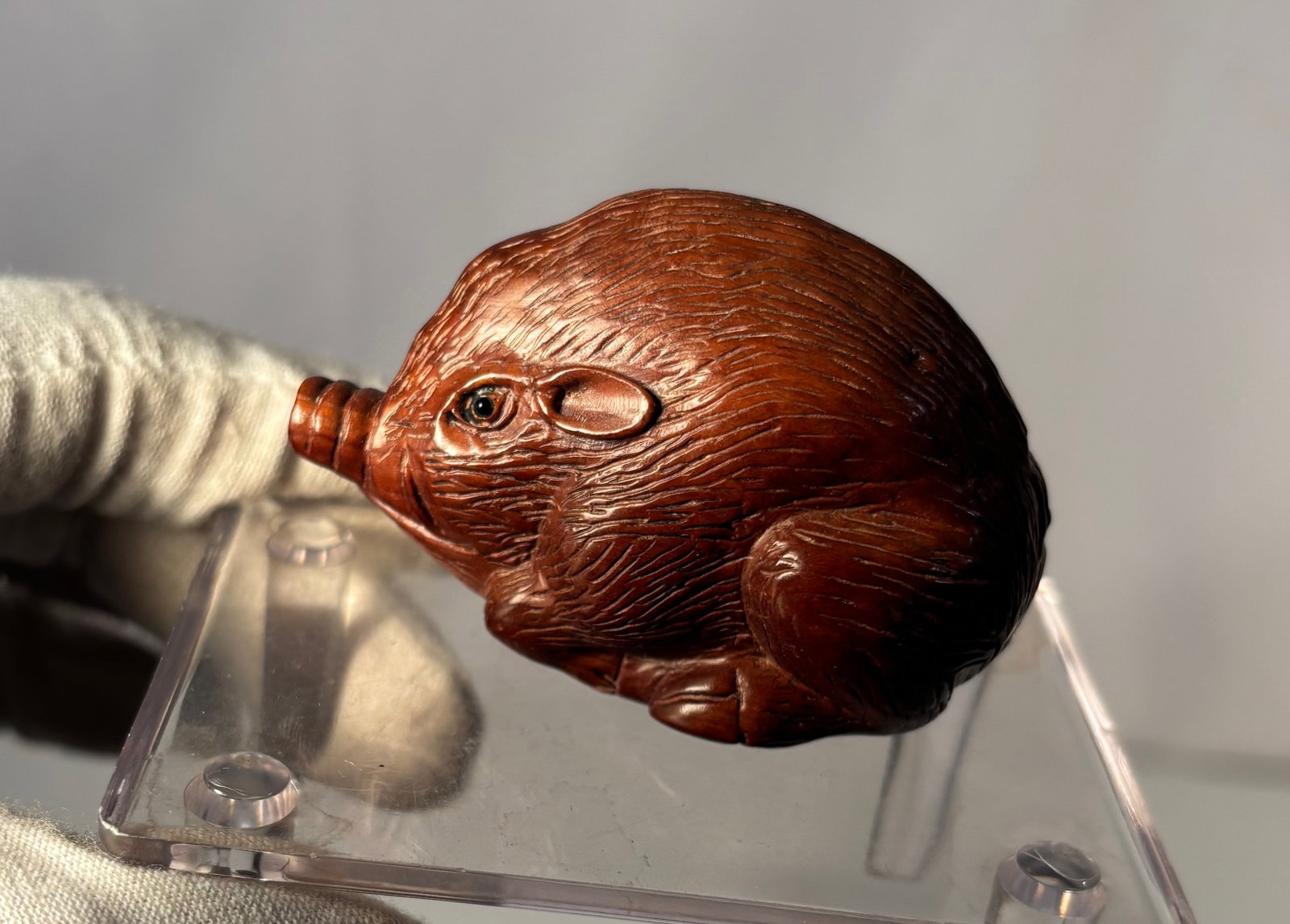 A Japanese Signed Boxwood Boar Netsuke, Hish? 18-19th Century: A Japanese carved boxwood netsuke, Edo period (18th–19th century), depicting a recumbent boar shown with a rounded, powerful body and finely incised bristled hair texture. The carving displays a blu