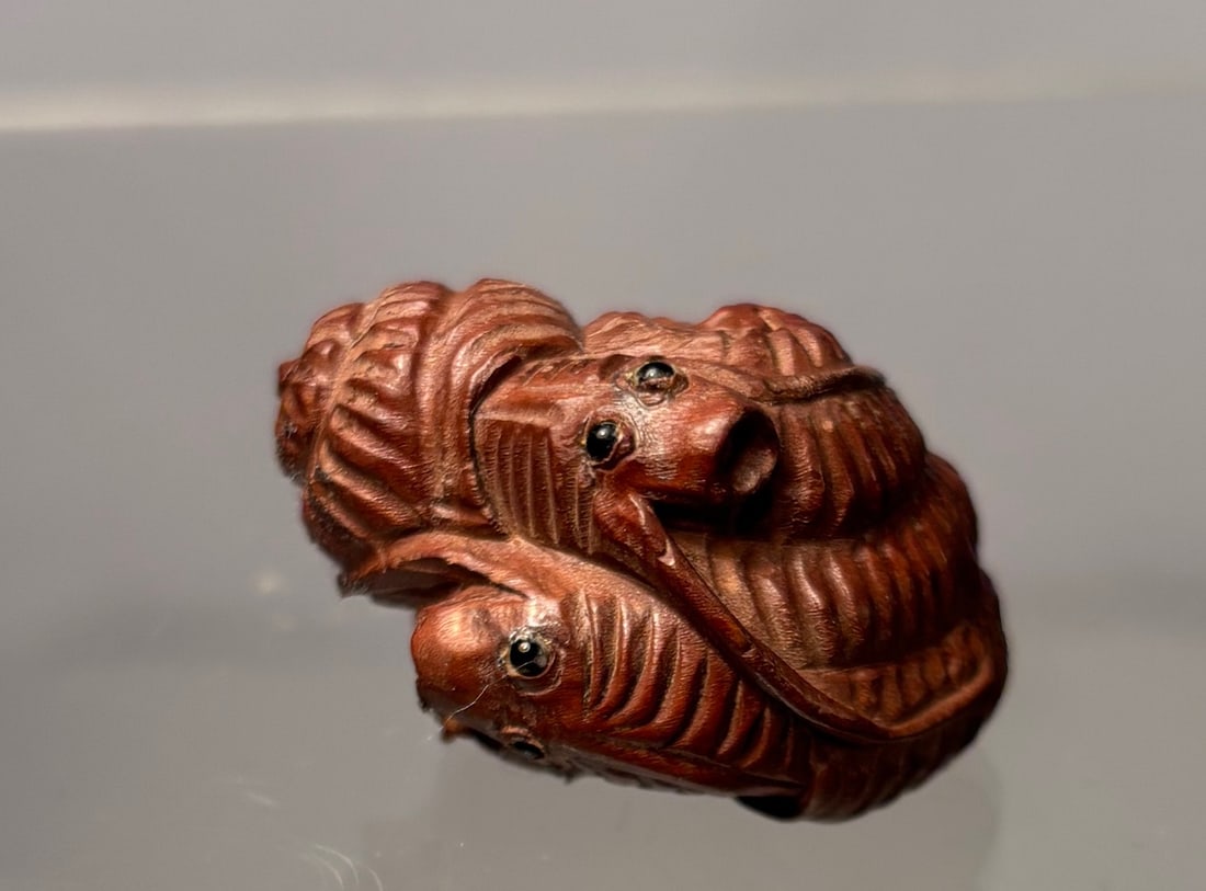 Japanese Boxwood Netsuke of a Coiled Snail: Meiji Period(1868-1912); A finely carved Japanese boxwood netsuke depicting a coiled snail, rendered with naturalistic spiral ridges and lifelike texture. The underside shows well-formed himotoshi, an