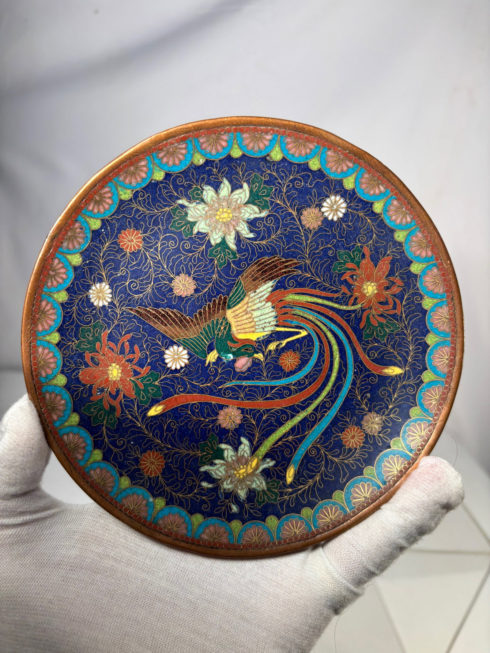A Chinese Cloisonné Enamel Plate with Phoenix amid Floral Scrolls: A Chinese cloisonné enameled metal plate decorated with a central phoenix in flight amid dense floral scrollwork, set against a deep cobalt-blue ground. The rim is adorned with a scalloped border of 