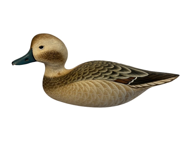 Armand J. Carney Signed 1993 Oldsquaw Long-Tailed Duck Hen Decoy: A finely hand-carved and painted wooden long-tailed duck hen decoy by noted New Jersey carver Armand J. Carney. The realistically modeled bird features inset glass eyes, a dark green-black bill, layer