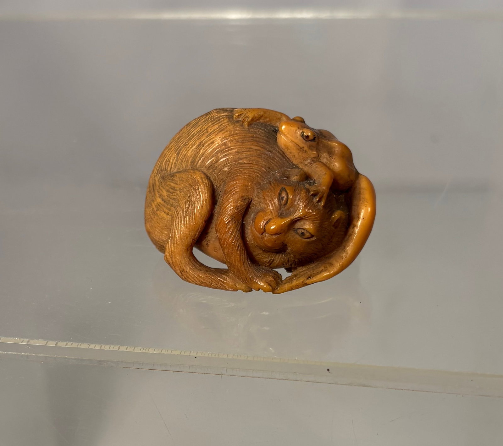 Japanese Carved Tagua Nut Netsuke of a Monkey and Frog (1 of 6)