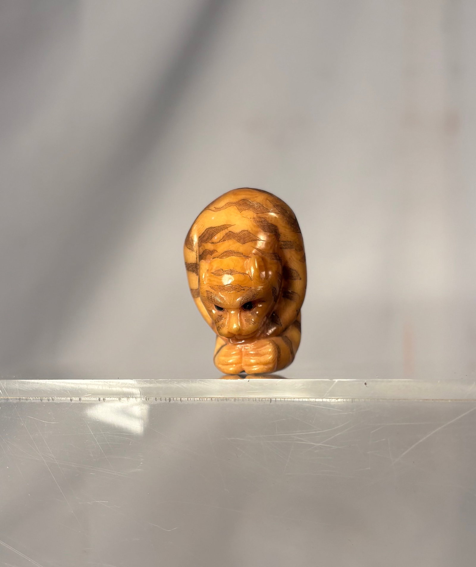 Japanese Carved Tagua Nut Netsuke of a Crouching Tiger (1 of 9)