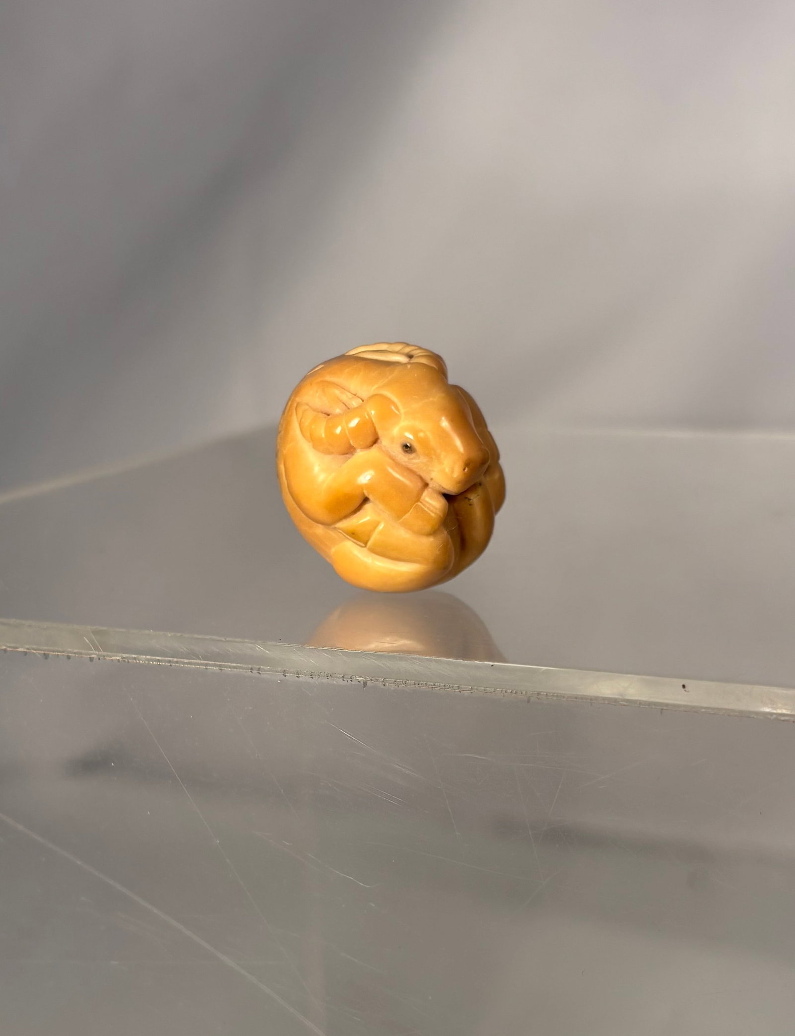 Late 19th C. Japanese Carved Tagua Nut Netsuke of a Recumbent Goat (1 of 8)