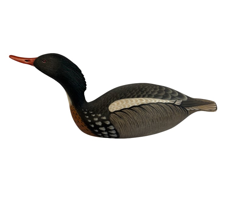 Armand J. Carney Signed 1990 Red-Breasted Merganser Drake Decoy: A finely hand-carved and painted wooden red-breasted merganser drake decoy by noted New Jersey carver Armand J. Carney. The full-bodied bird features inset glass eyes, a long red bill, deeply carved w