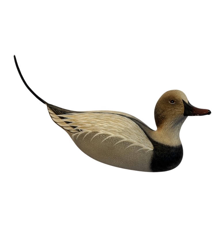 Armand J. Carney Signed 1993 Oldsquaw Drake Duck Decoy: A finely hand-carved and hand-painted wooden Oldsquaw drake, now commonly known as the Long-tailed Duck, by noted American wildfowl carver Armand J. Carney (1936–2008). Featuring inset glass eyes, f