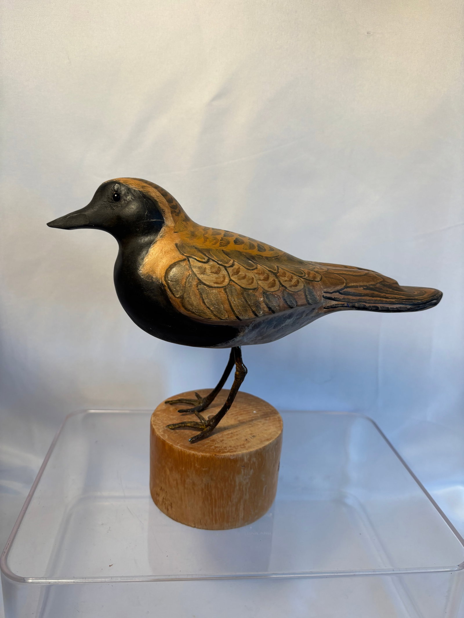 Hand-Carved and Painted American Golden Plover Shorebird Decoy (1 of 6)