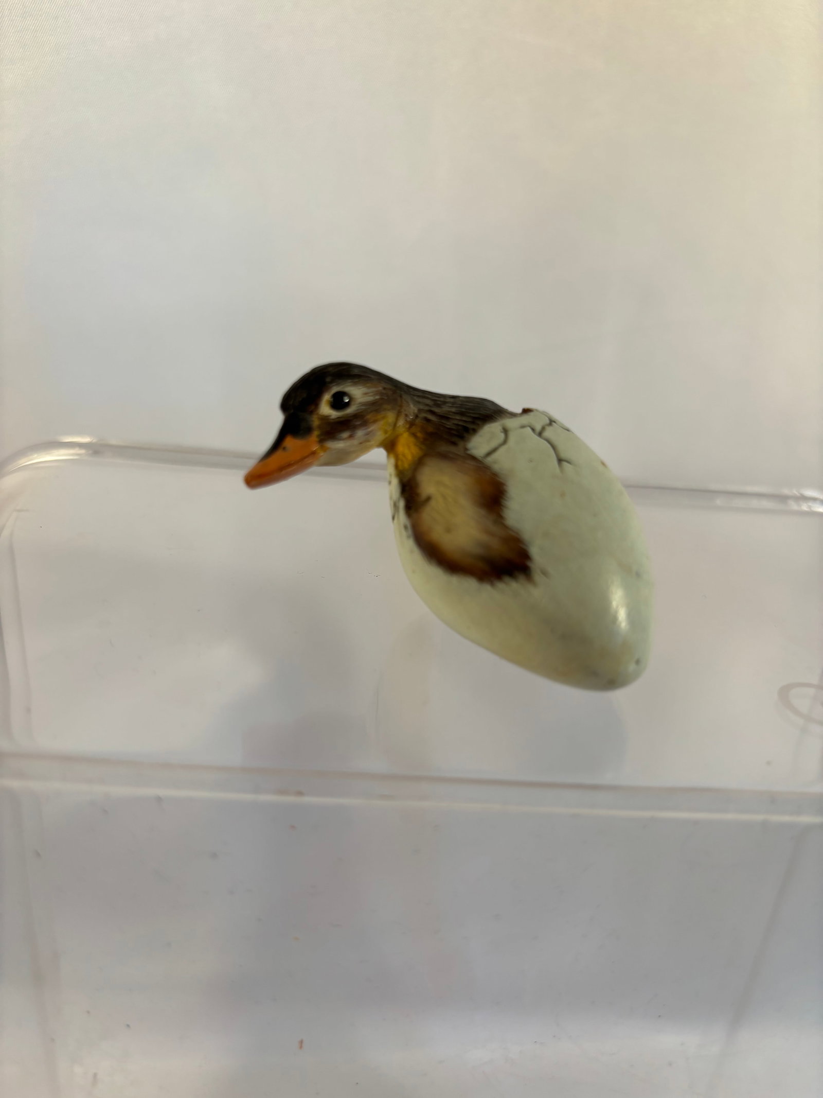 HFM Signed Duckling Hatching from Egg Miniature - 2