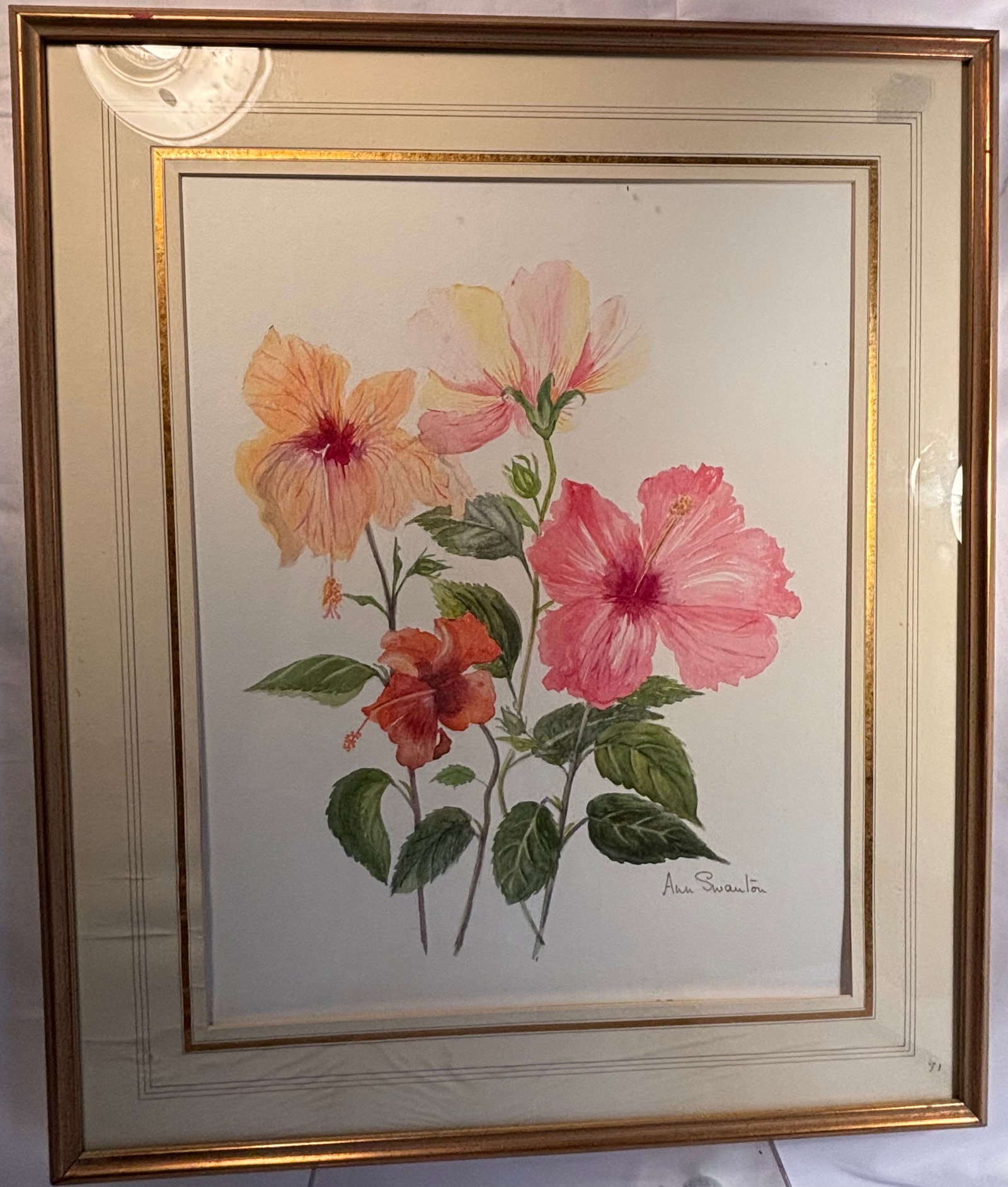 Ann Swanton, Hibiscus Blossoms, Botanical Watercolor: Ann Swanton, botanical watercolor on paper depicting four blooming hibiscus flowers in shades of orange, pale pink, deep coral-red, and vibrant pink. The blossoms are rendered with delicate tonal grad