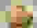 item-53519606=5